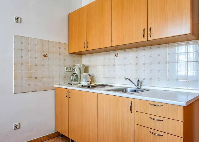 Διαμέρισμα Vesna 1 With Terrace Ρόβινι